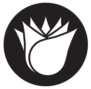 Estética Natural Cursos